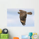 Red-shouldered Hawk Soaring Wall Mural