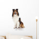 Shetland Sheepdog Sheltie