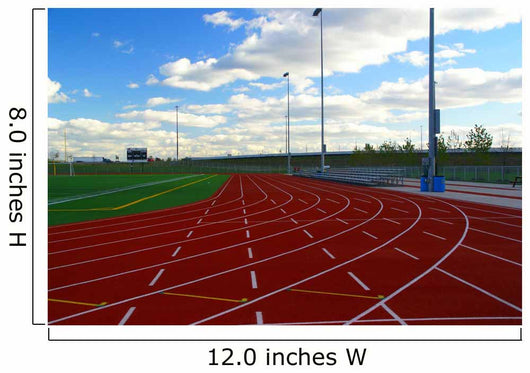 track and field Wall Mural