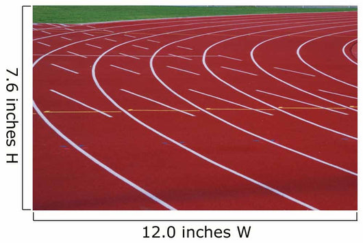 track and field Wall Mural
