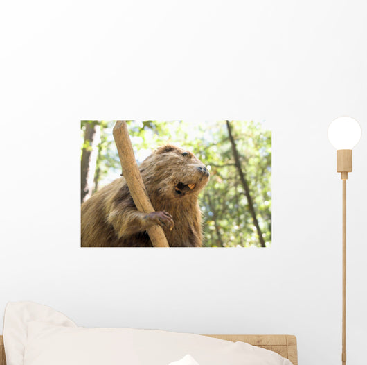 Beaver Wall Mural