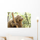 Beaver Wall Mural