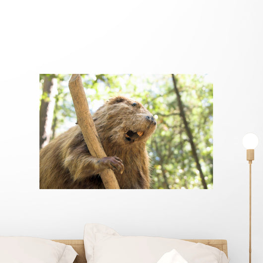 Beaver Wall Mural