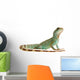 Wasseragame iguana lizard reptile Lizzard Wall Decal