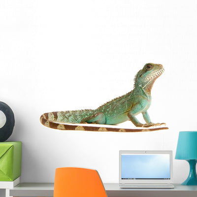 Wasseragame Iguana Lizard Reptile Wall Decal shown on a wall