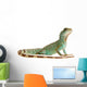 Wasseragame iguana lizard reptile Lizzard Wall Decal