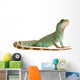 Wasseragame iguana lizard reptile Lizzard Wall Decal