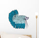 Betta Fish or Siamese Fighting Fish Isolated on White Background Wall Decal