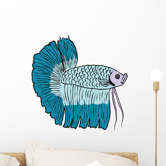 Betta Fish or Siamese Fighting Fish Isolated on White Background Wall Decal