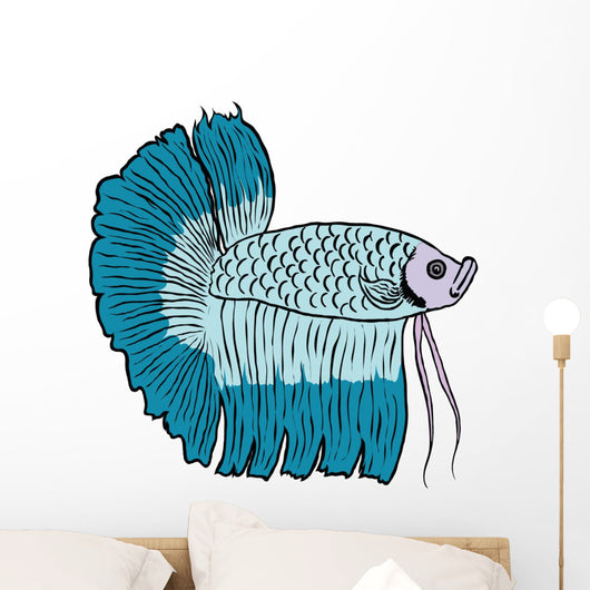 Betta Fish or Siamese Fighting Fish Isolated on White Background Wall Decal