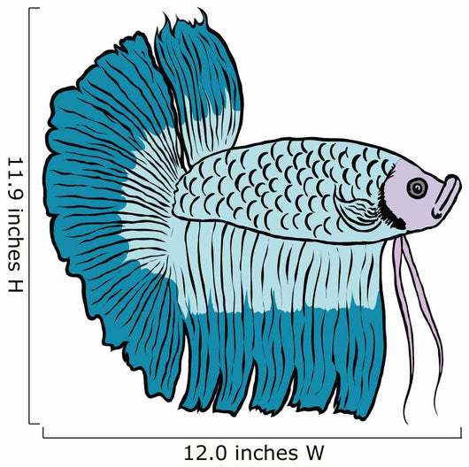 Betta Fish or Siamese Fighting Fish Isolated on White Background Wall Decal
