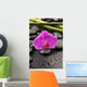 Macro Pink Orchid with