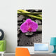 Macro Pink Orchid with