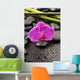 Macro Pink Orchid with