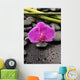 Macro Pink Orchid with