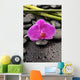 Macro Pink Orchid with