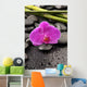 Macro Pink Orchid with