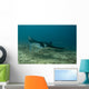 Manta Blue Wall Mural