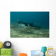 Manta Blue Wall Mural