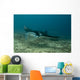 Manta Blue Wall Mural