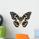 Butterfly Species Papilio Demoleus