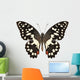 Butterfly Species Papilio Demoleus