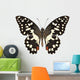 Butterfly Species Papilio Demoleus