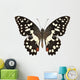 Butterfly Species Papilio Demoleus