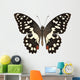Butterfly Species Papilio Demoleus