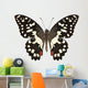 Butterfly Species Papilio Demoleus