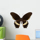 Brown Papilio Butterfly