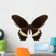 Brown Papilio Butterfly