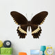 Brown Papilio Butterfly