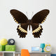 Brown Papilio Butterfly