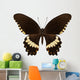 Brown Papilio Butterfly