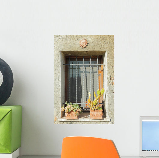 Sunny Window