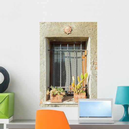 Sunny Window