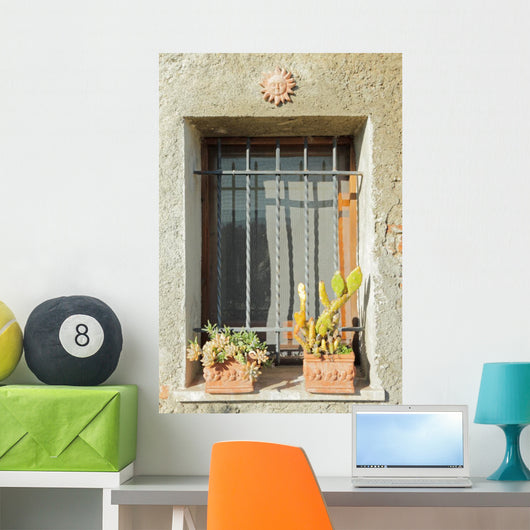 Sunny Window