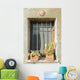 Sunny Window