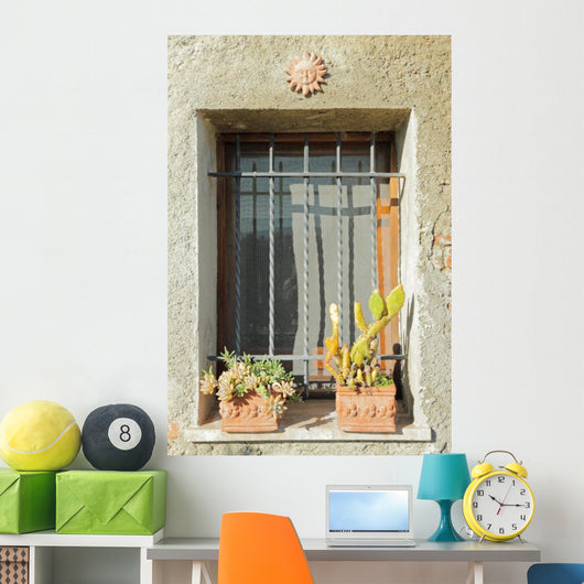 Sunny Window