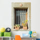Sunny Window