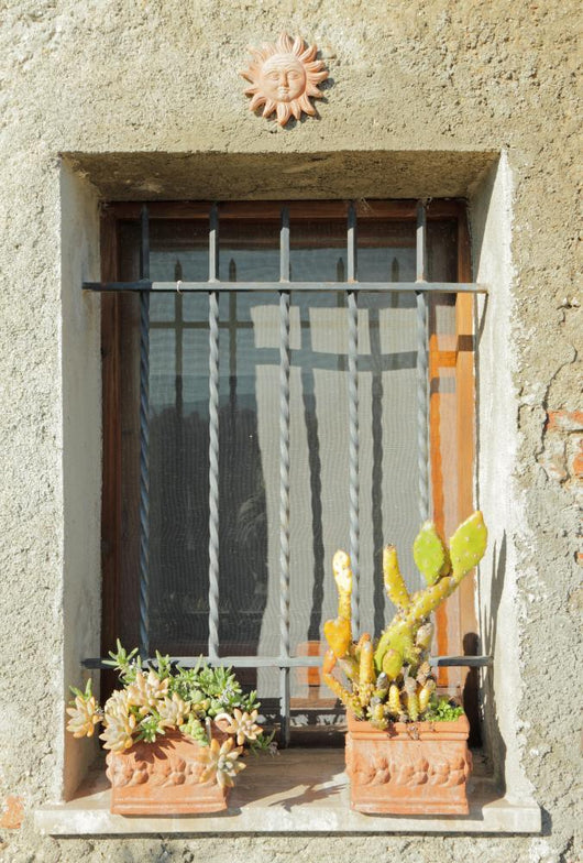Sunny Window