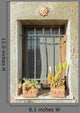 Sunny Window