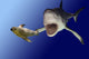 sharkattack Wall Mural