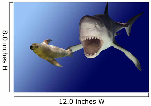 sharkattack Wall Mural