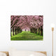 Cherry Blossom Wall Mural