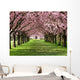 Cherry Blossom Wall Mural