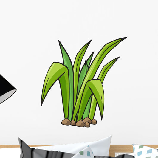 Plant