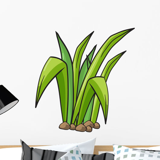 Plant