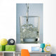 Drinking Water Wall Mural